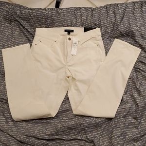 Ann Taylor BRAND NEW Pants